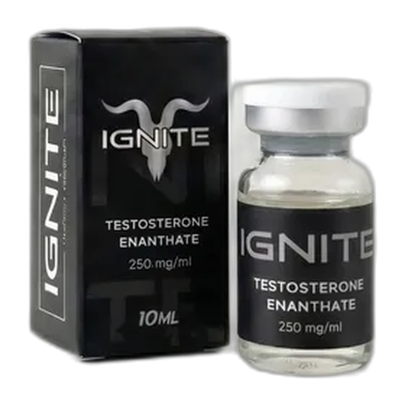 IGNITE • Тестостерон Энантат | 250мг/мл
